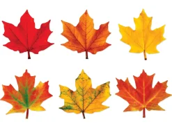 Maple Leaf Accents