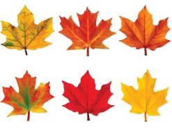 Maple Leaf Mini Accents