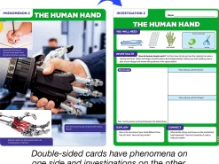 Meet the Standards Human Body Kit - Gr. 4