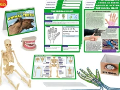 Meet the Standards Human Body Kit - Gr. 4