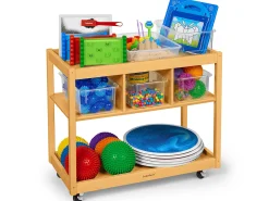 Mobile Sensory Cart