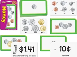 Money Pocket Flash Cards