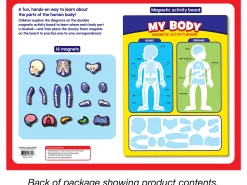 My Body Magnetic Activity Board