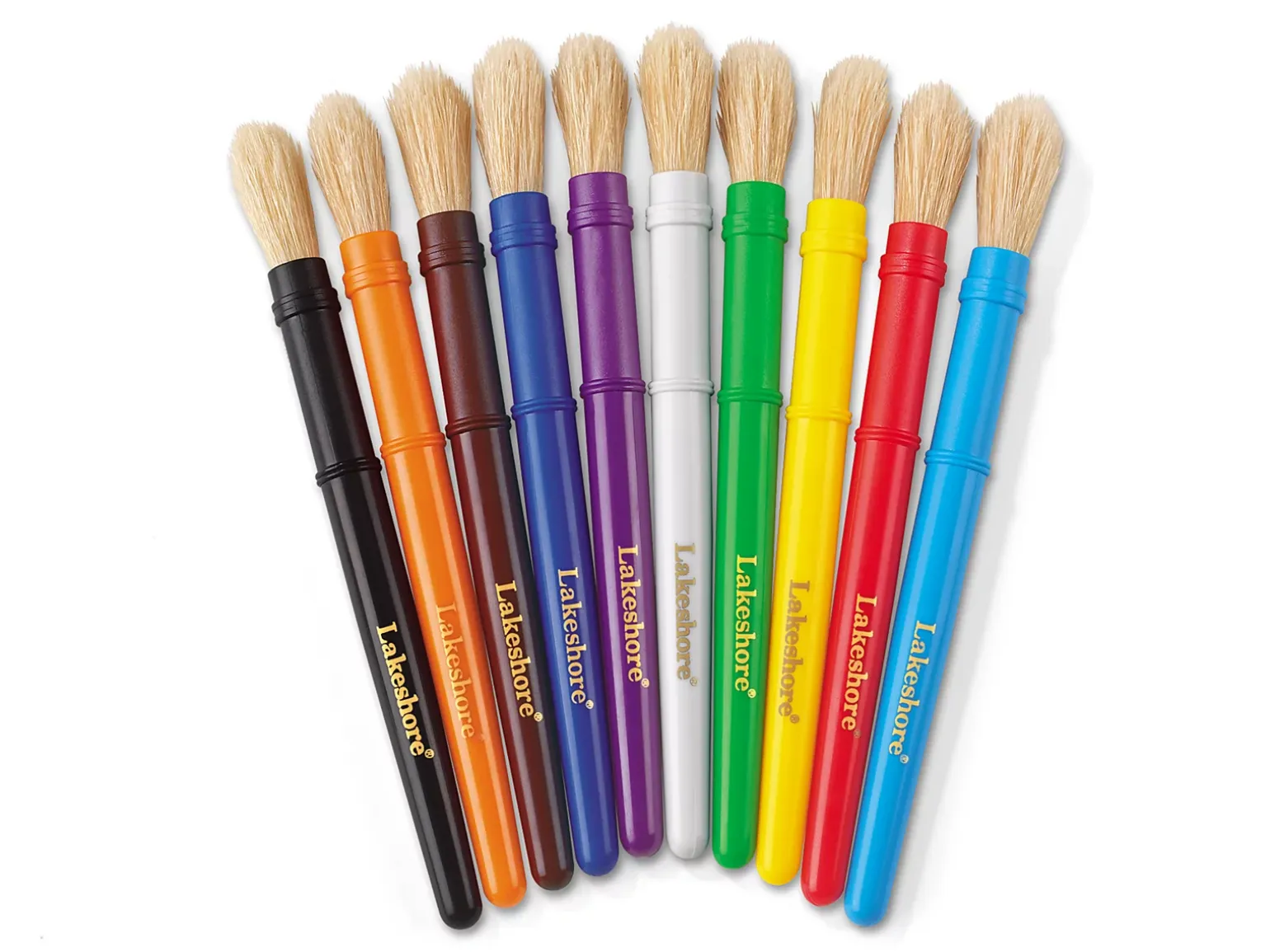 Natural-Bristle Paintbrushes - Set of 10