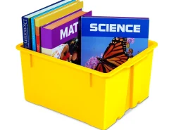 Neon Heavy-Duty Book Bins