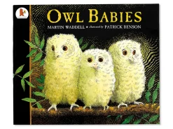 Owl Babies Big Book