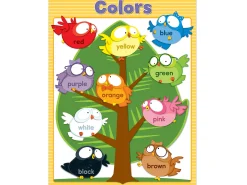 Owl Pals Color Learning Poster