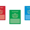 Passport Accents
