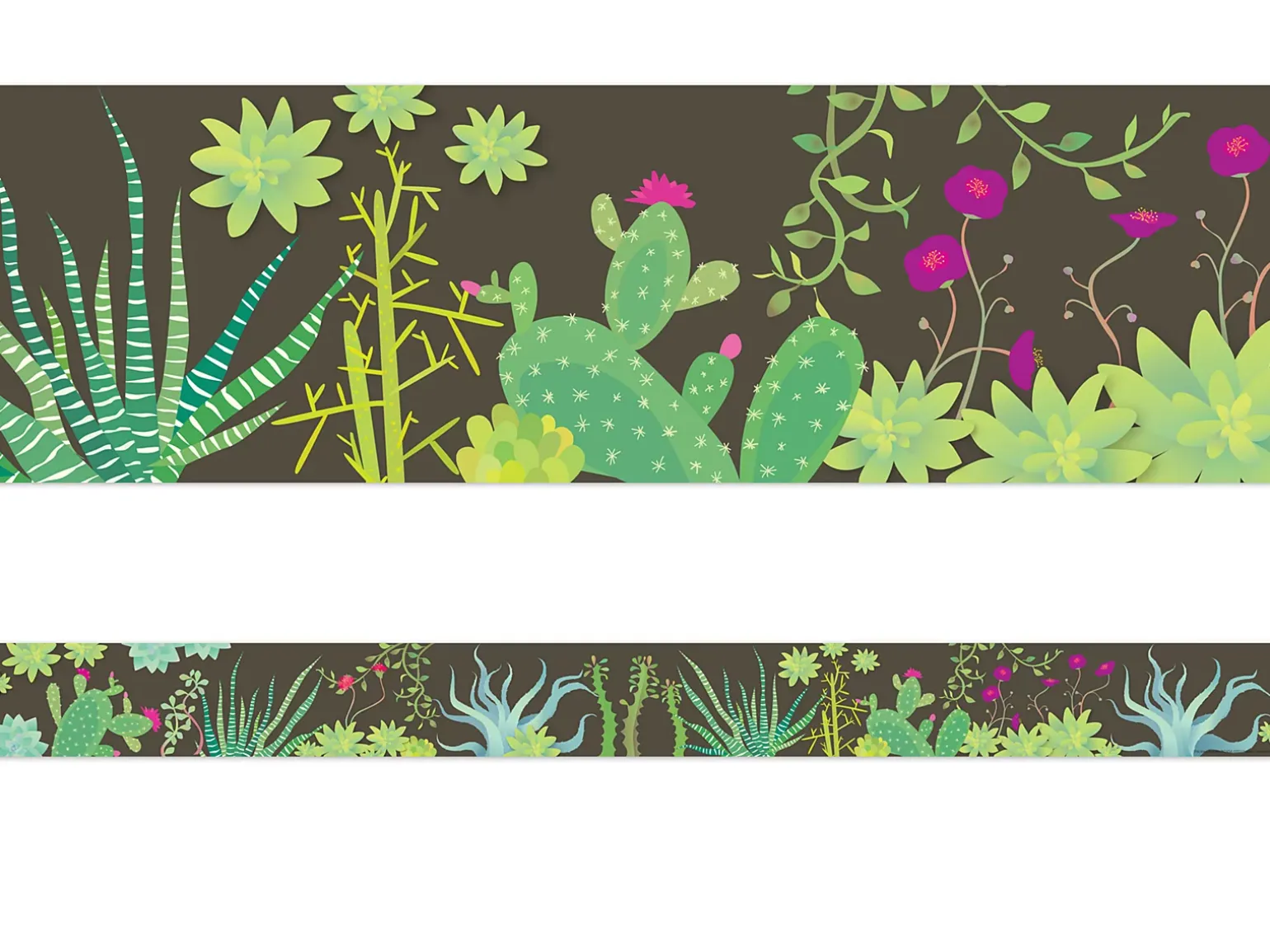 Petals & Prickles Double-Sided Succulent Border