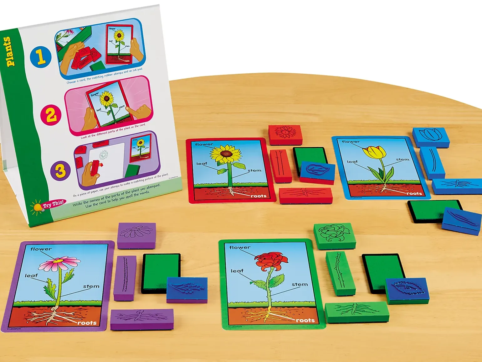 Plants Instant Learning Center