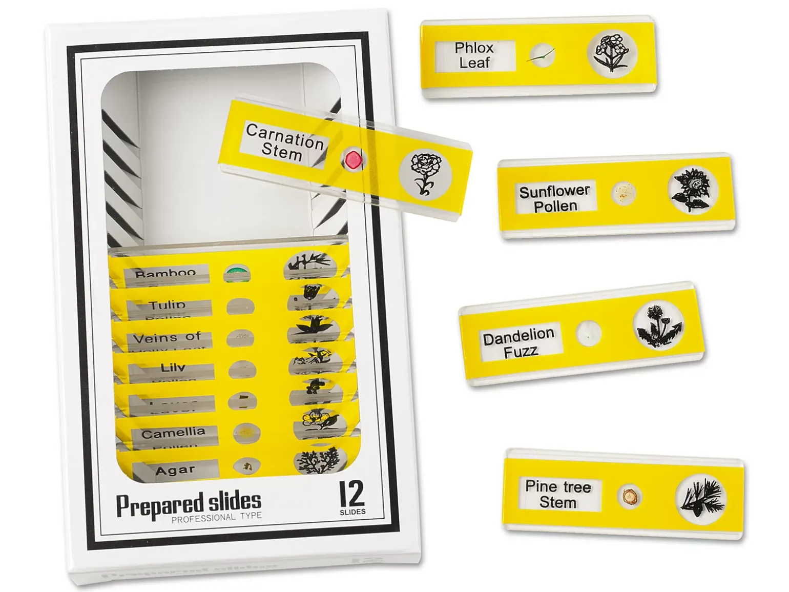 Plants Prepared Slide Kit