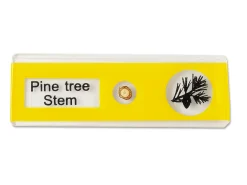 Plants Prepared Slide Kit