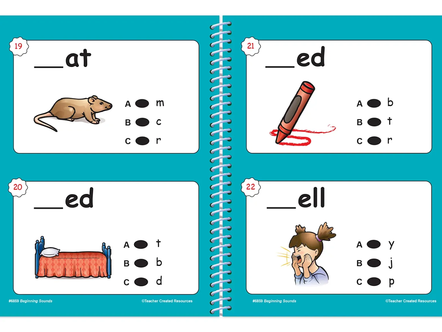 Power Pen!® Beginning Sounds Learning Book