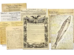 Primary Source Magnetic Poster Pack