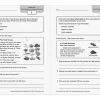 Reading Comprehension Fundamentals Workbook - Gr. 3