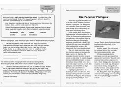 Reading Comprehension Fundamentals Workbook - Gr. 3