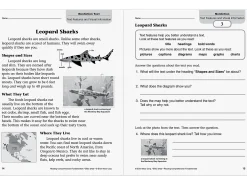 Reading Comprehension Fundamentals Workbook - Gr. 2