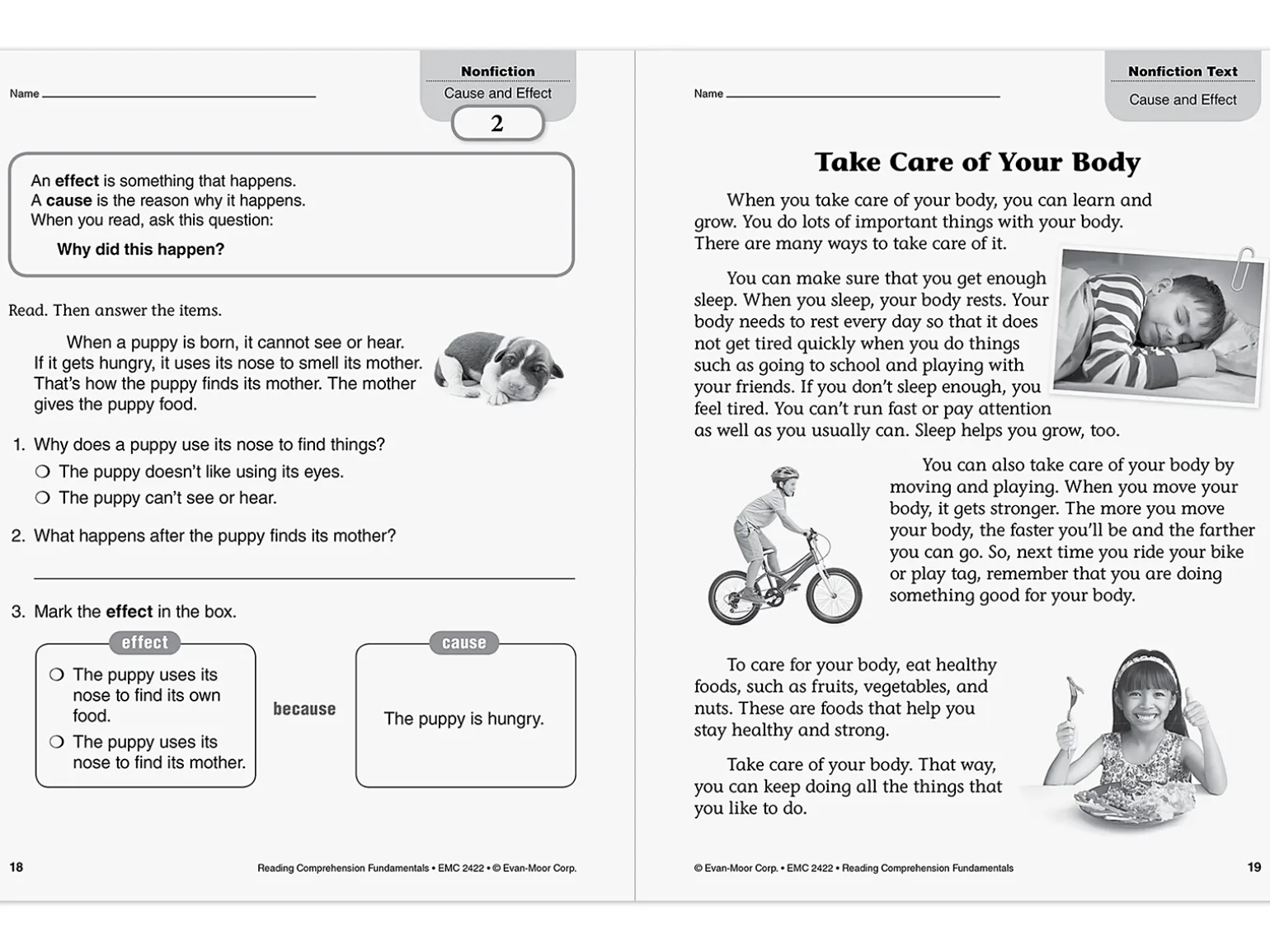 Reading Comprehension Fundamentals Workbook - Gr. 2