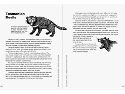 Read & Understand with Leveled Texts Workbook - Gr. 4
