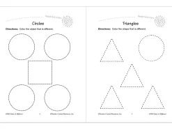 Same & Different Workbook