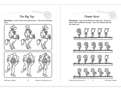 Same & Different Workbook