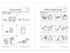 Same & Different Workbook