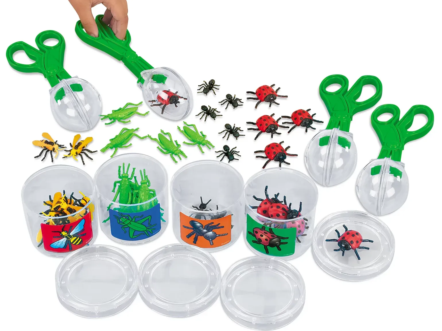 Scoop-A-Bug Sorting Kit
