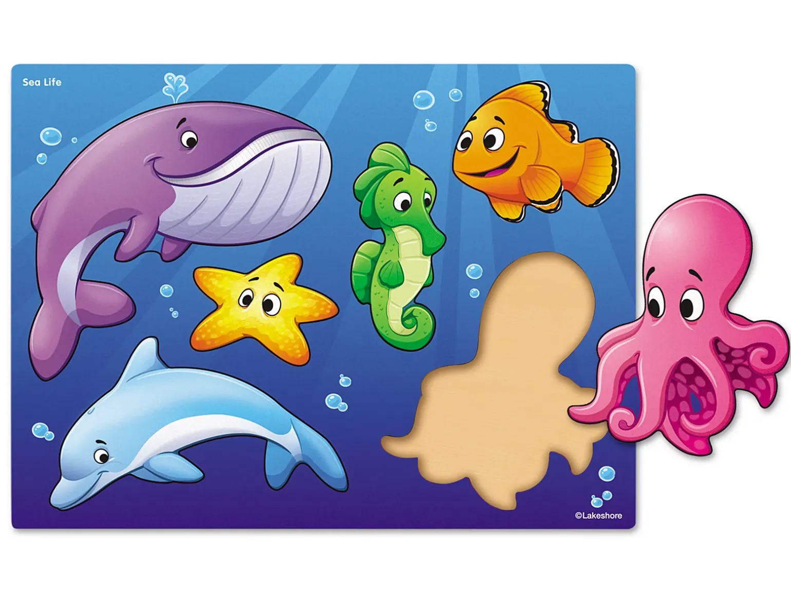 Sea Life Puzzle