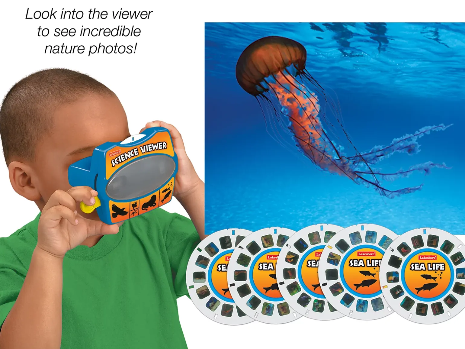 Sea Life Science Viewer