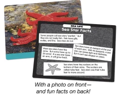 Sea Life Specimen Center