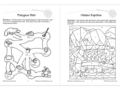 Second-Grade Fun Workbook