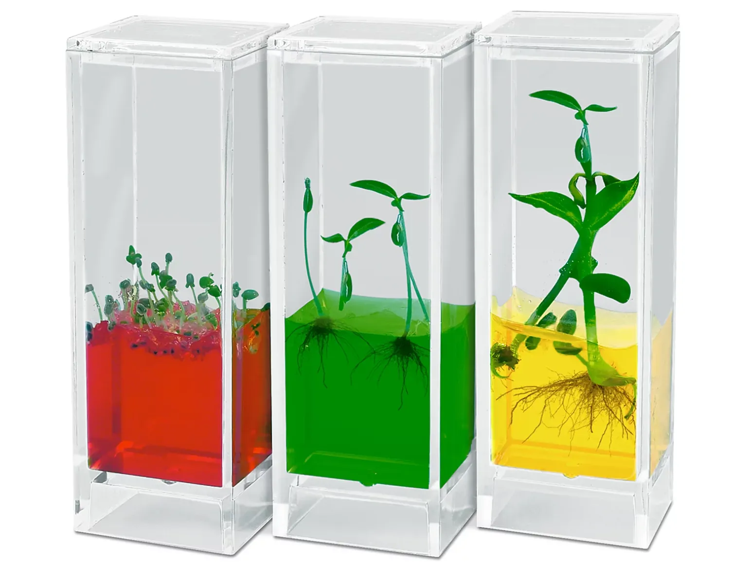See It Grow Plant Lab