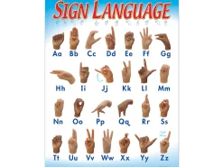 Sign Language Learning Poster