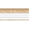 Simply Safari Fringe Nameplates