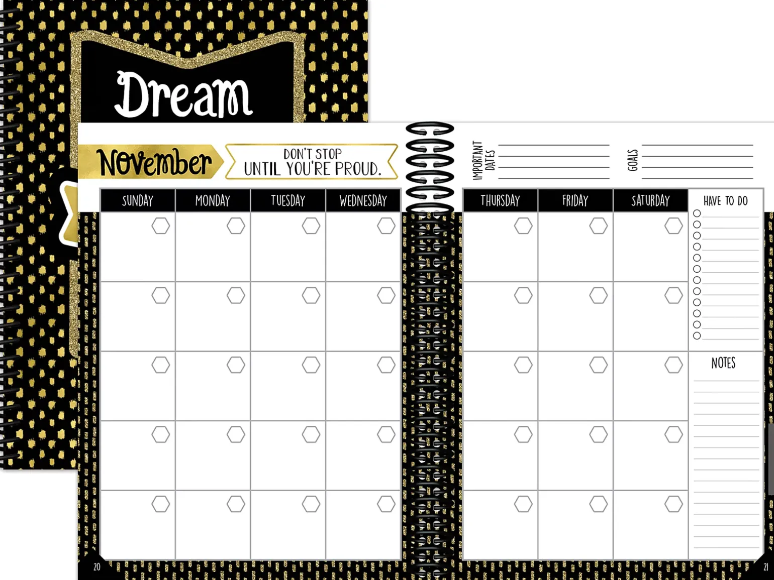 Sparkle & Shine Lesson Plan Book