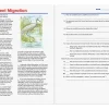 Spectrum® Reading Workbook - Gr. 6