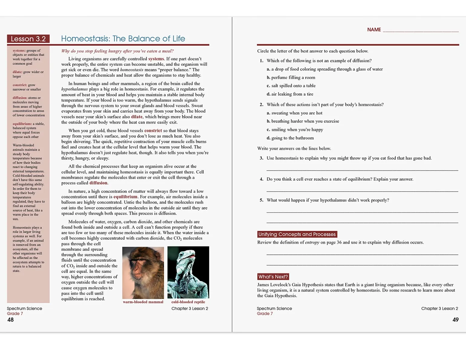 Spectrum® Science Workbook - Gr. 7