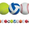 Sports Ball Border