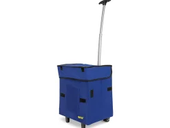 Standard Smart Cart