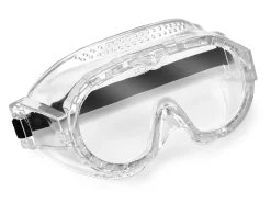 Student Safety Goggles