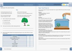 Summer Bridge Activities Workbook - Gr. 2-3