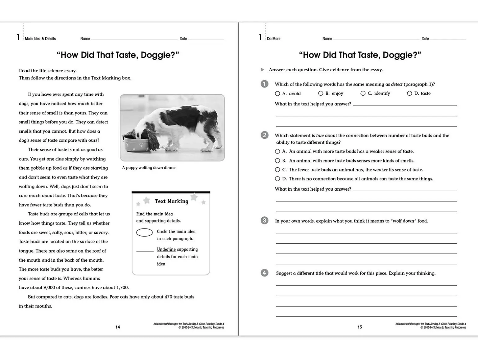 Text Marking & Close Reading Workbook - Gr. 4