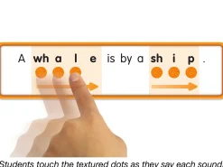 Touch & Read Blends & Digraphs Sentence Match