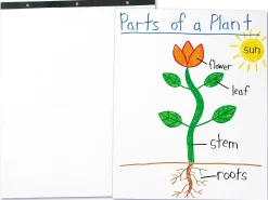 Unruled Chart Tablet