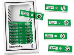 Vegetables Prepared Slide Kit