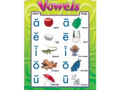Vowels Photo Poster