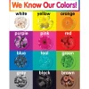 We Know Our Colors! Poster