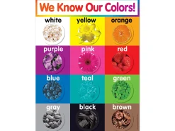We Know Our Colors! Poster