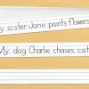 White Sentence Strips