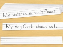 White Sentence Strips